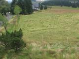 13 : 08