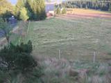 20 : 24