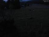 04 : 00