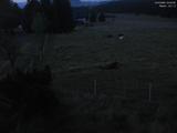 04 : 04