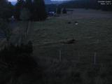 04 : 08