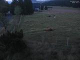 04 : 12