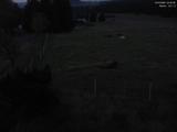 04 : 32