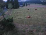 04 : 44