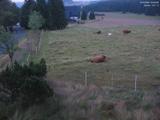04 : 48
