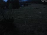 04 : 00