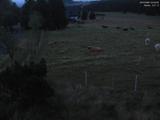 04 : 04