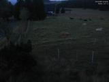 04 : 36