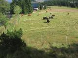 16 : 52