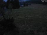 21 : 28