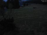 21 : 32