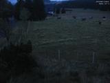 21 : 56