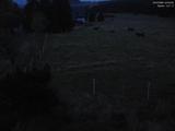 22 : 04