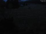 22 : 08