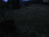 04 : 24