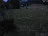 04 : 52