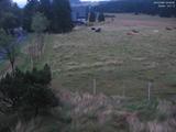 05 : 00