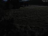 01 : 36