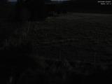02 : 36