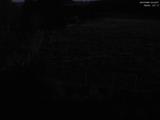 03 : 44
