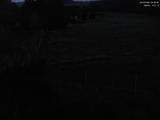 04 : 00