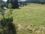 10 : 04