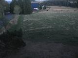 21 : 20