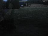 21 : 28