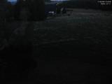 21 : 32