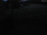 21 : 36
