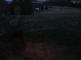 21 : 20