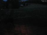 21 : 24