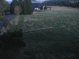 20 : 20