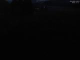 20 : 40