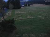 19 : 36