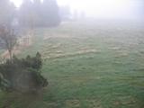 06 : 36