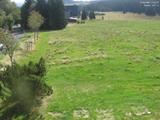 11 : 44