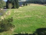 15 : 56