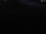 20 : 20