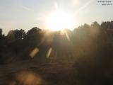 19 : 44