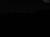 20 : 44
