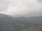 14 : 14