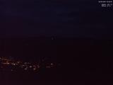 20 : 39