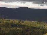 17 : 35
