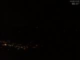 20 : 19