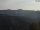 07 : 49