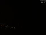 04 : 29