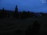 20 : 48