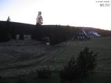 20 : 40
