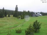 15 : 36